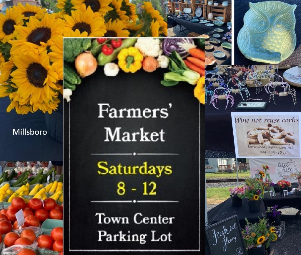 Farmer Market Millsboro1 2