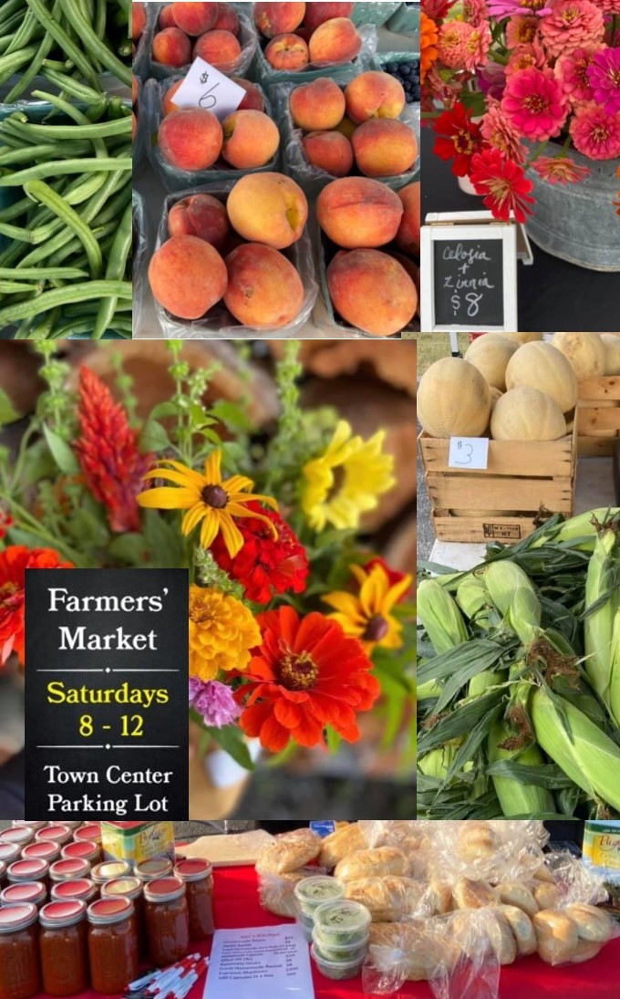 Farmer Market Millsboro1 2