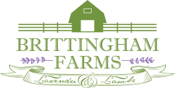 Brittingham Farms